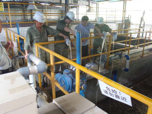 湘潭新手考證指南 固體廢物處理工證考試流程、體檢要求及污染治理工作解讀